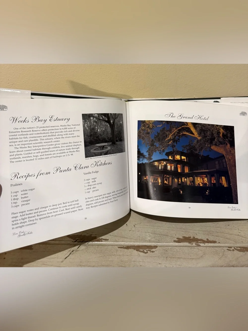 Vintage Southern Cookbook Bundle: Live Oaks & Gentle Folks + Taste of the South